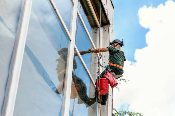 Best Residential Window Cleaning  in USA